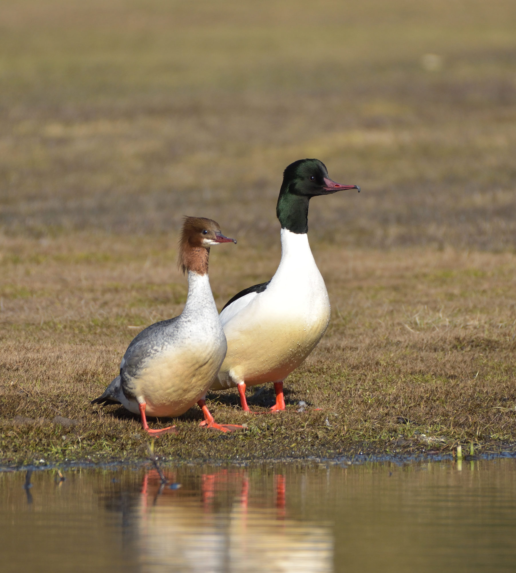 Valokuvaaja: Asko Heikkinen