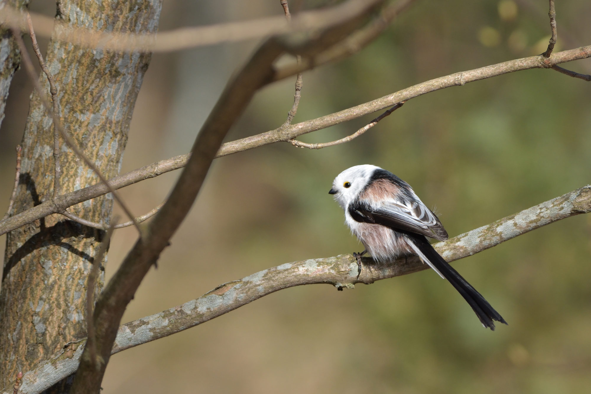 Valokuvaaja: Asko Heikkinen