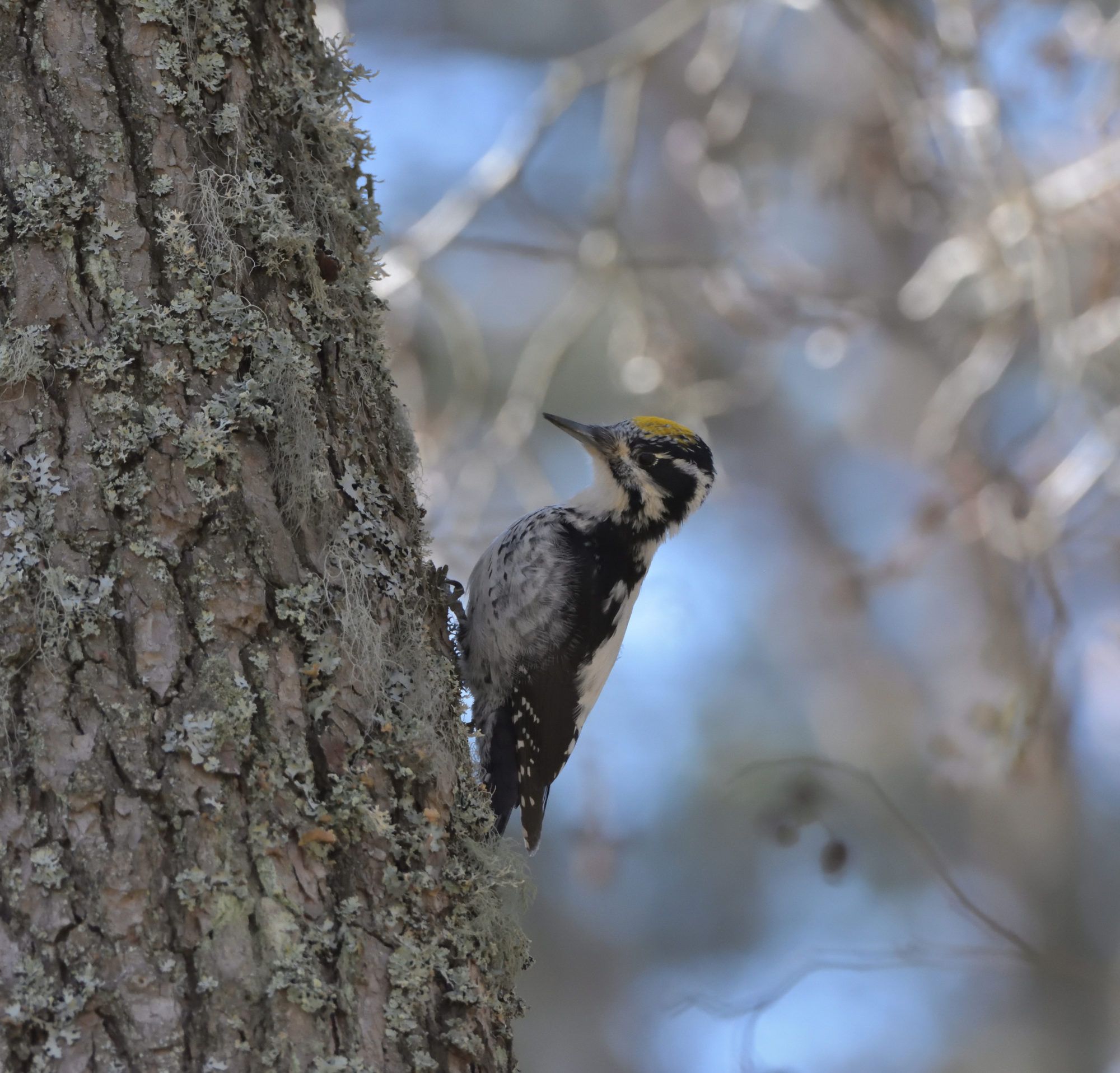 Valokuvaaja: Asko Heikkinen