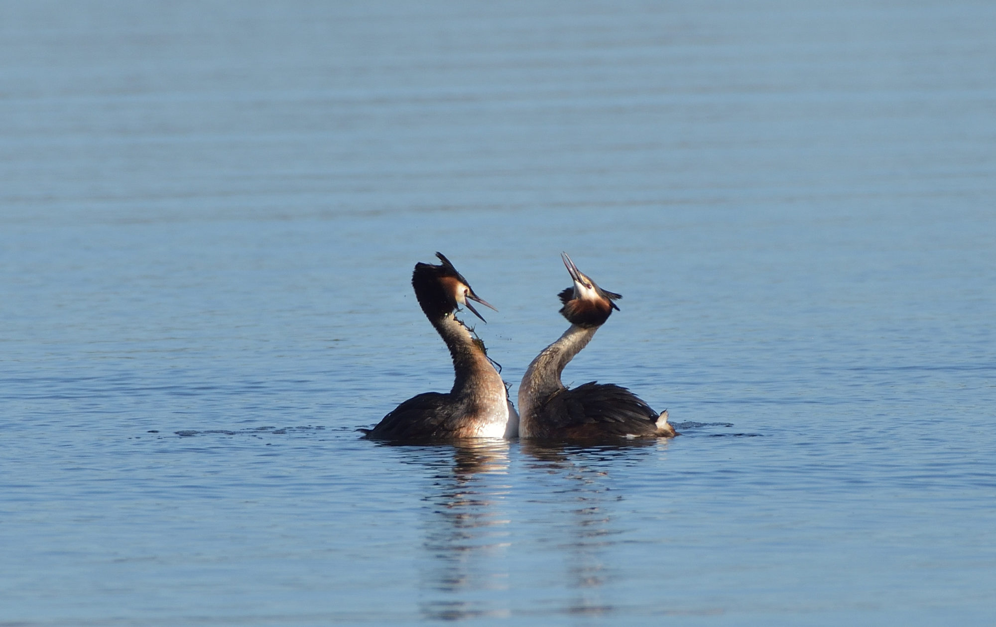 Valokuvaaja: Asko Heikkinen