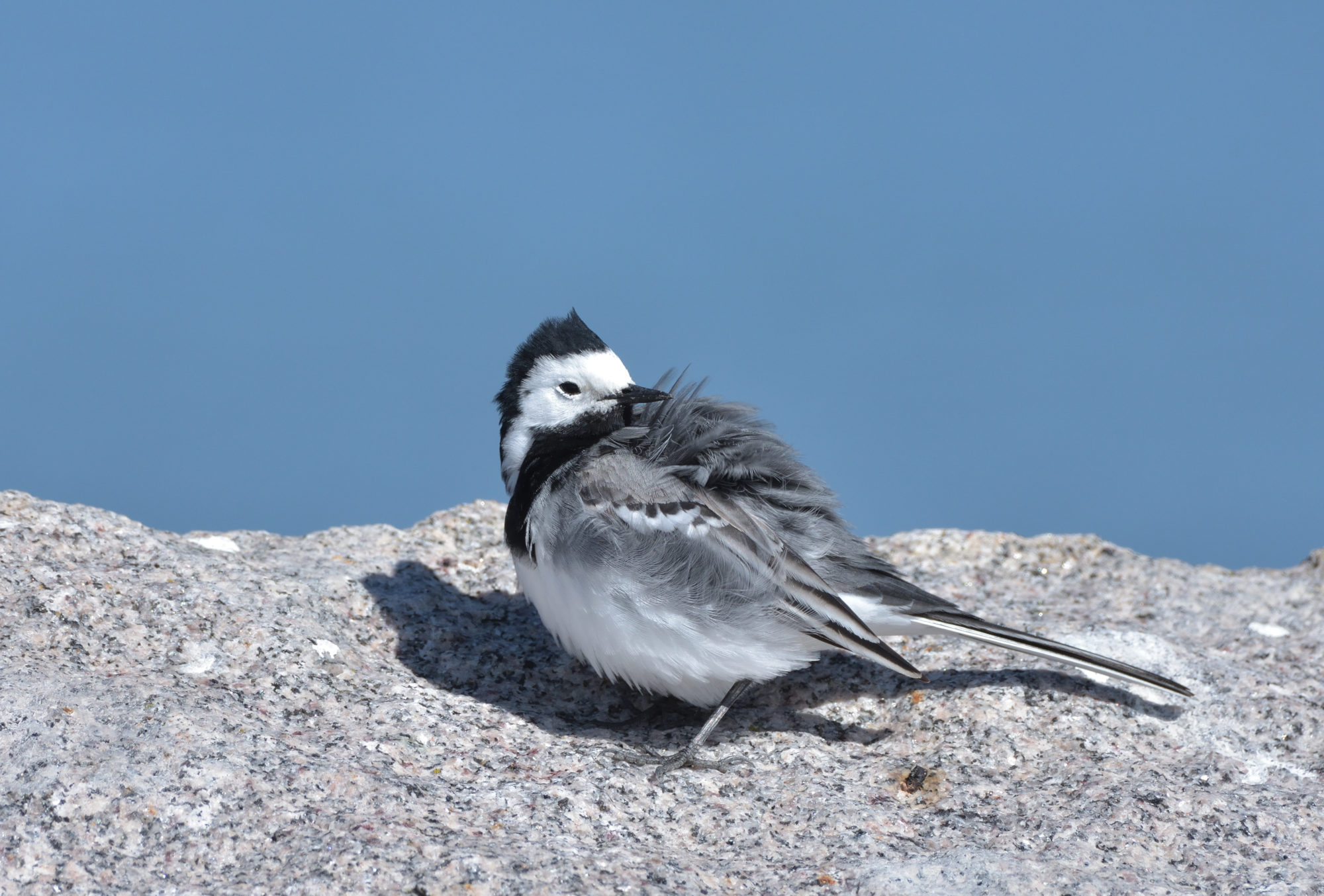 Valokuvaaja: Asko Heikkinen