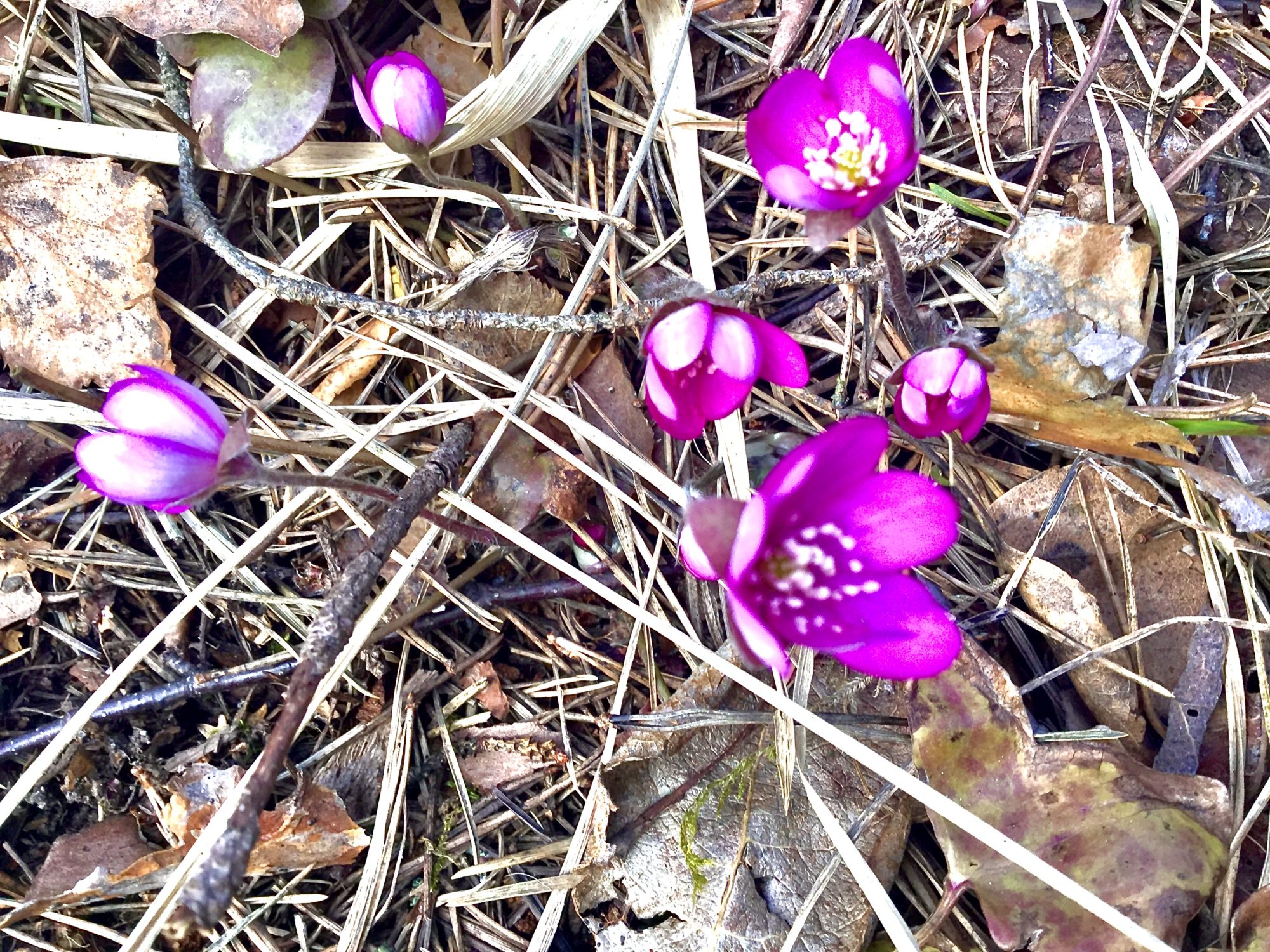 Valokuvaaja: Marko Kangas Valokuvaaja: Marko Kangas