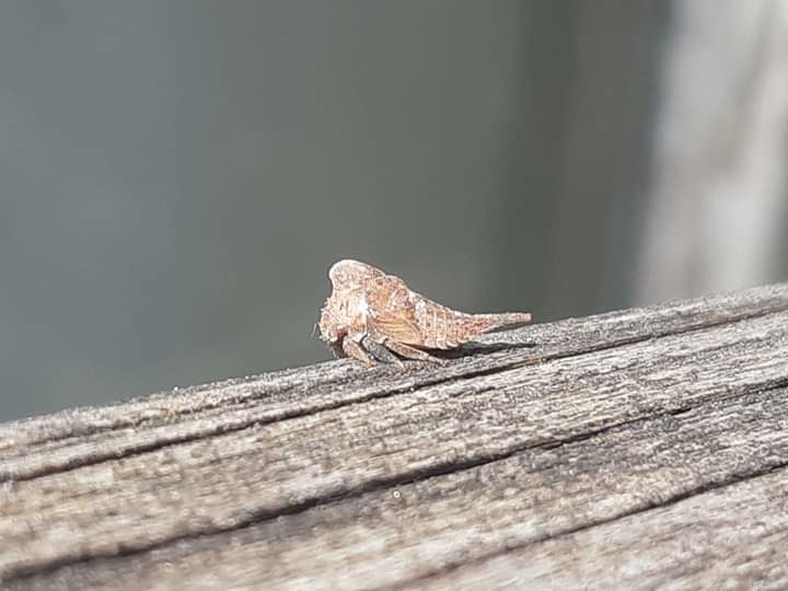 Valokuvaaja: Lotta Laaksonen