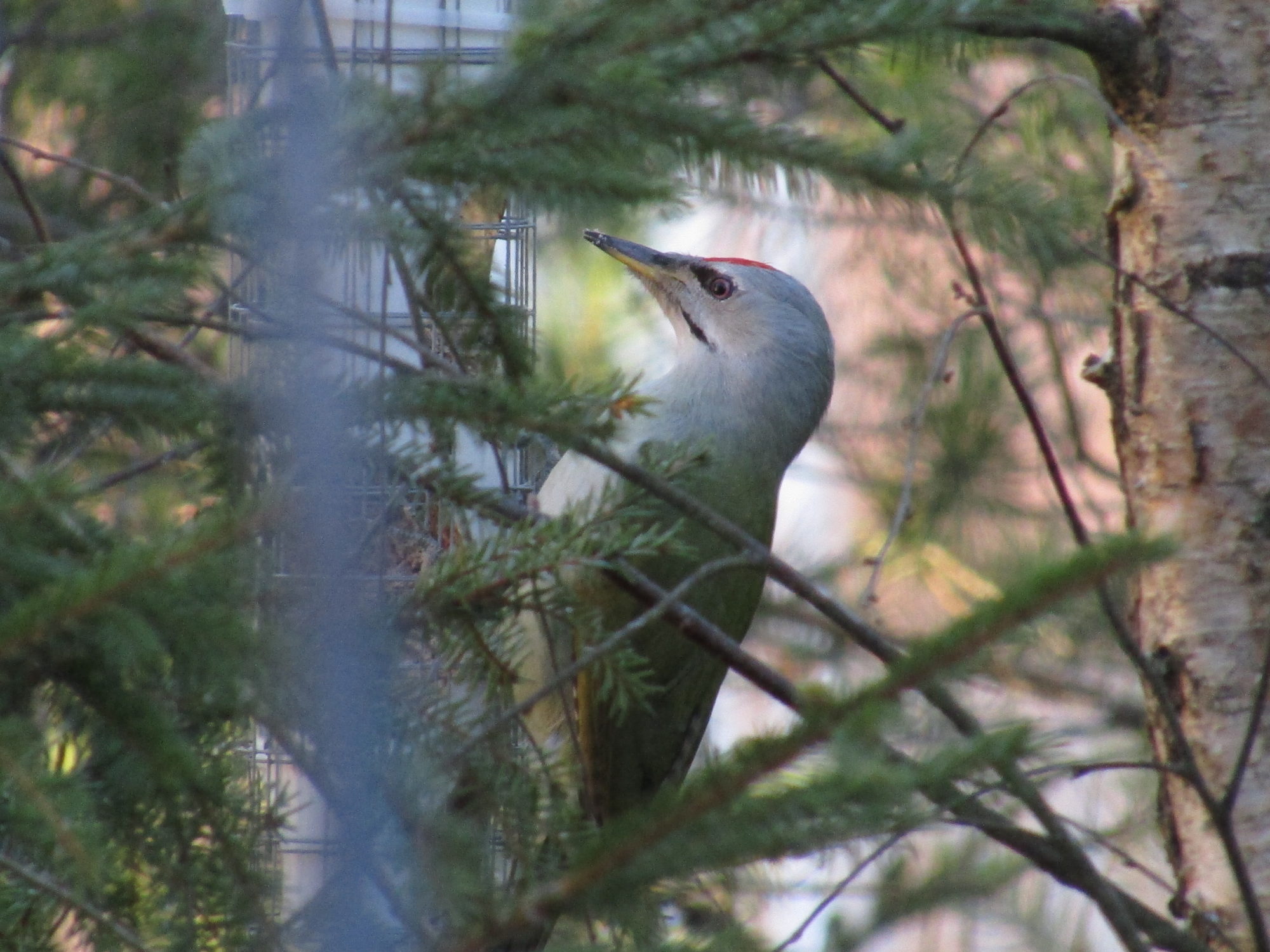 Valokuvaaja: Teija Matikka