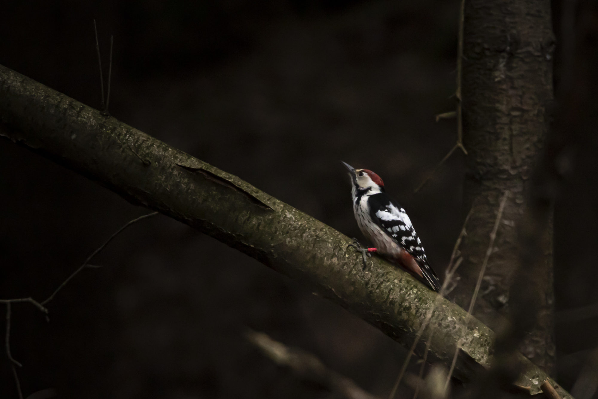 Valokuvaaja: Aku Heinonen