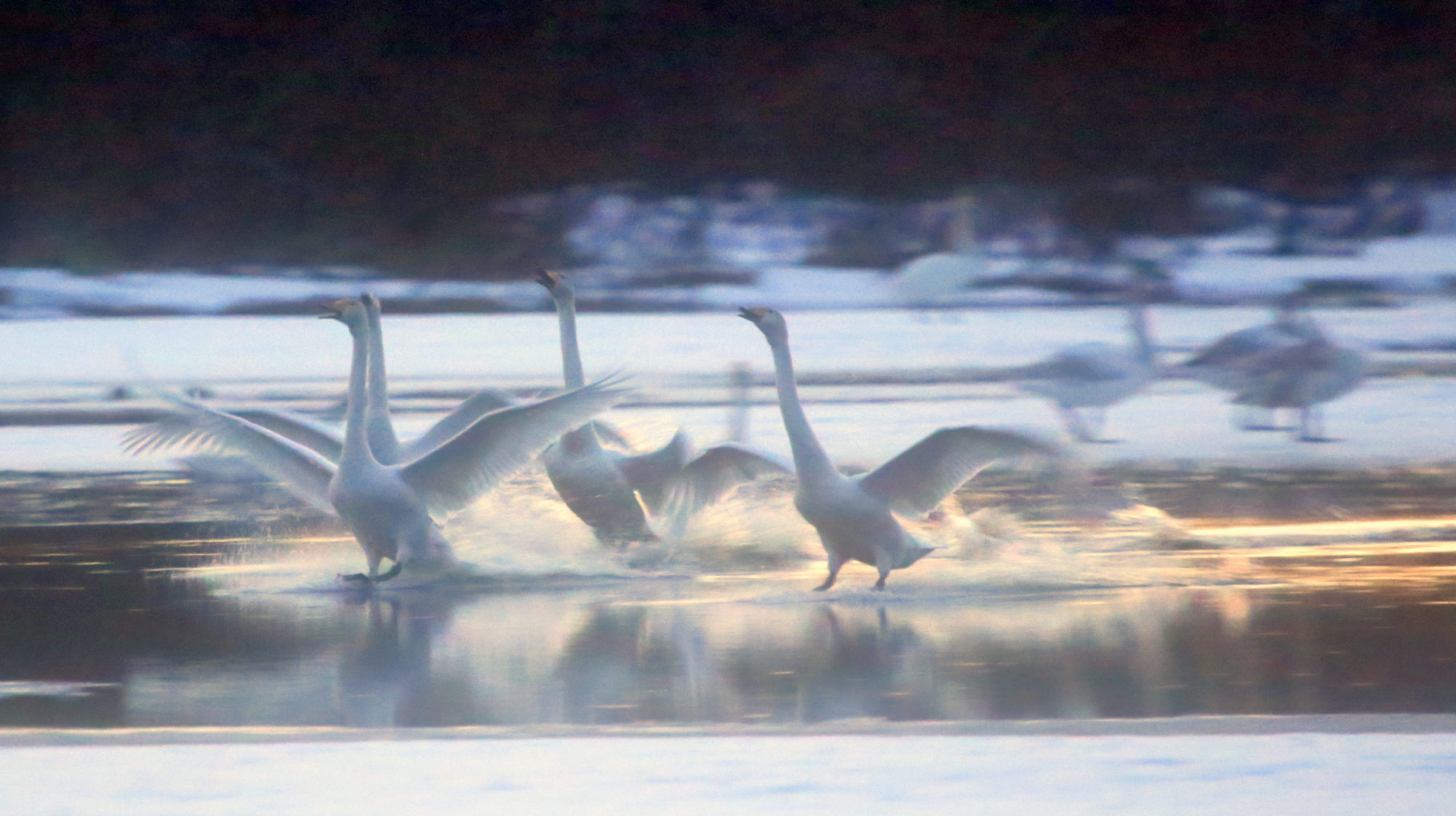 Valokuvaaja: Raija Kokkola