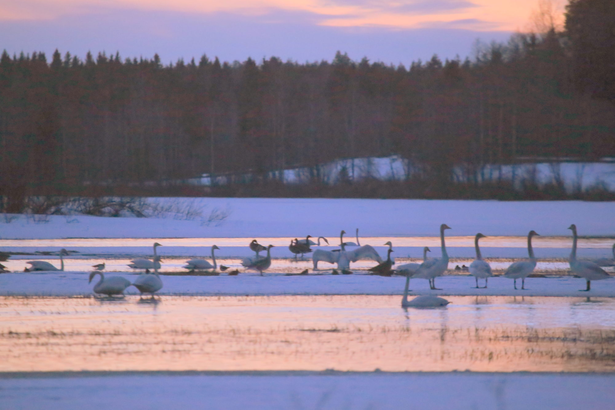 Valokuvaaja: Raija Kokkola Valokuvaaja: Raija Kokkola