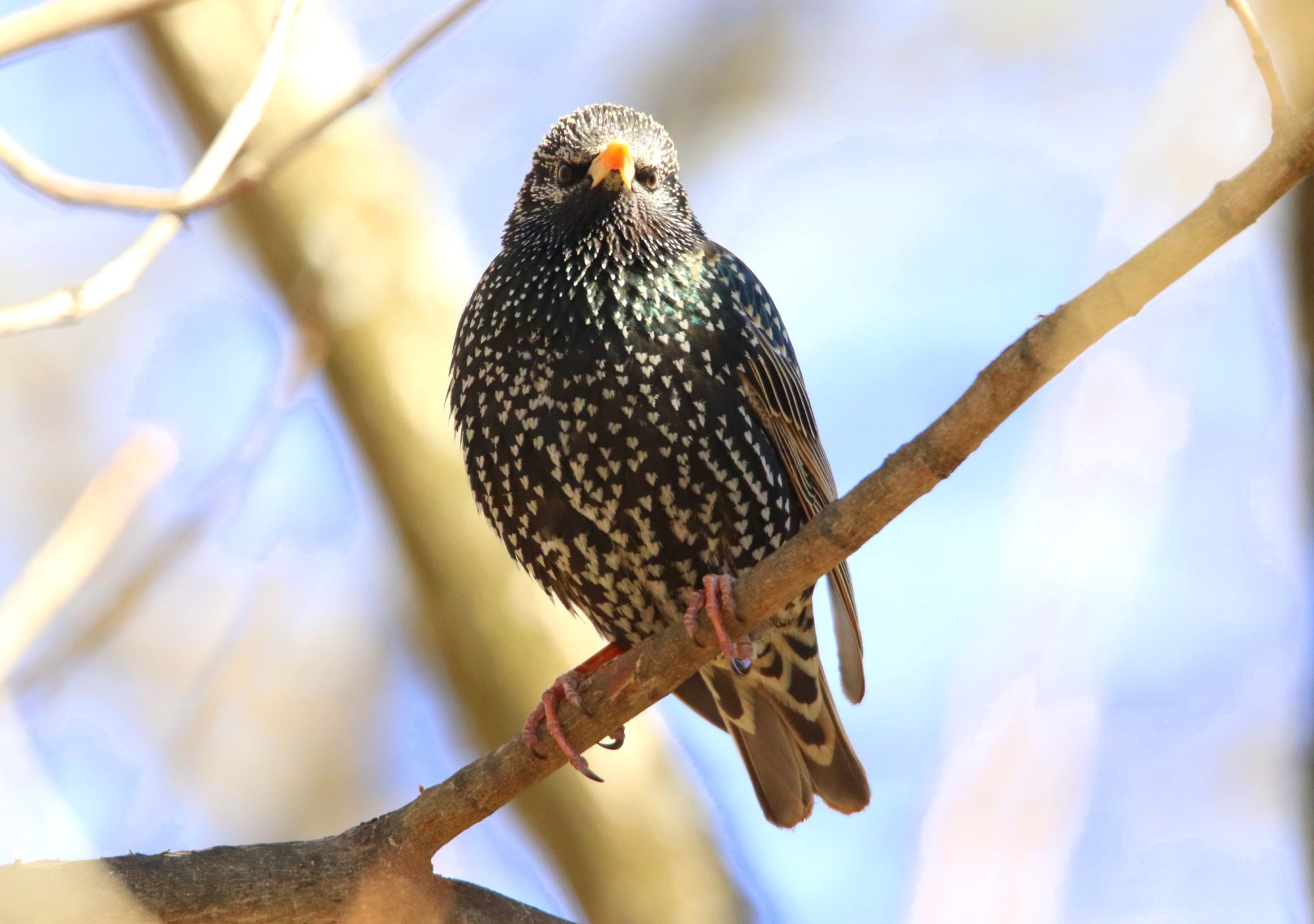 Valokuvaaja: Irja Lehtinen