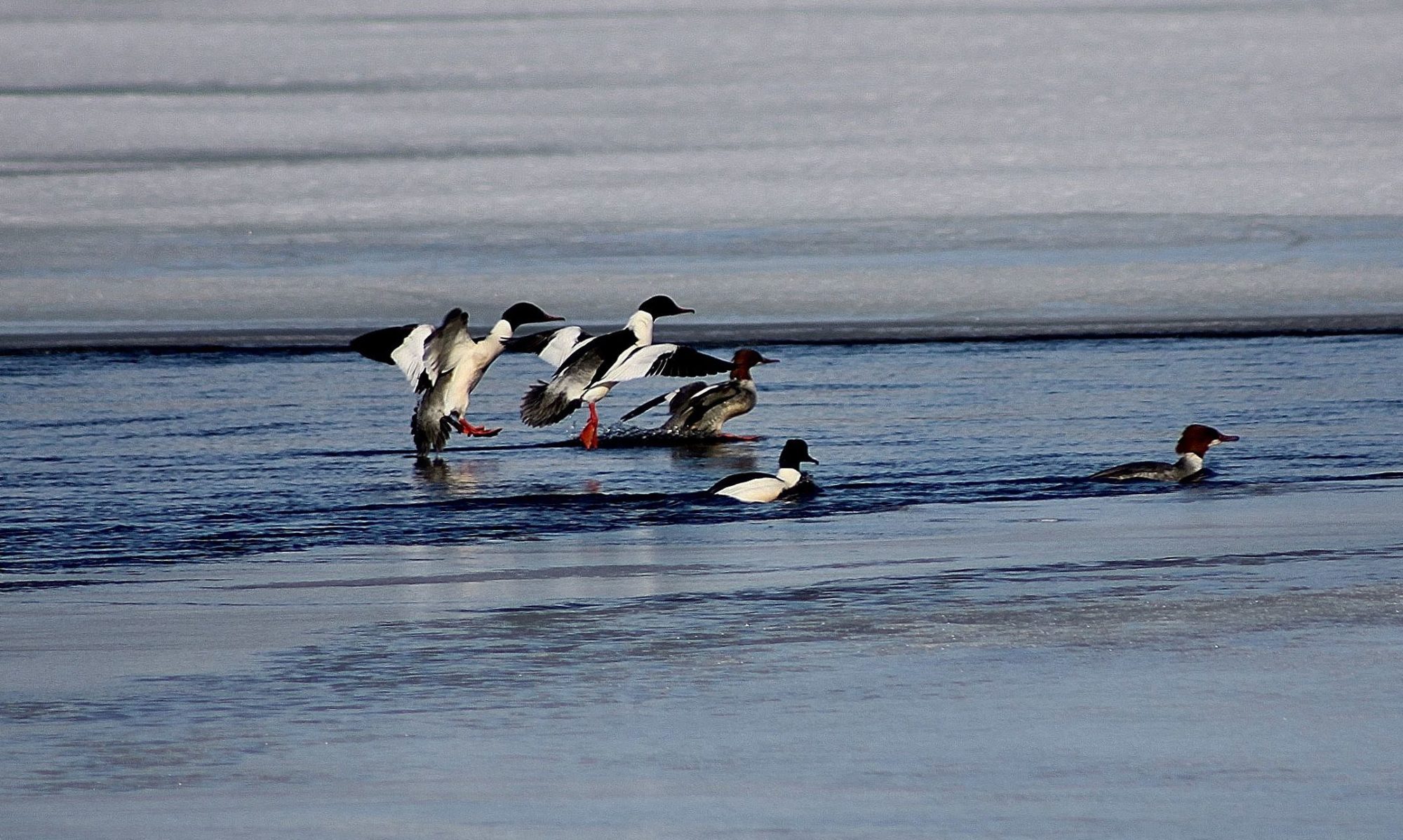 Valokuvaaja: Pirkko Siukonen