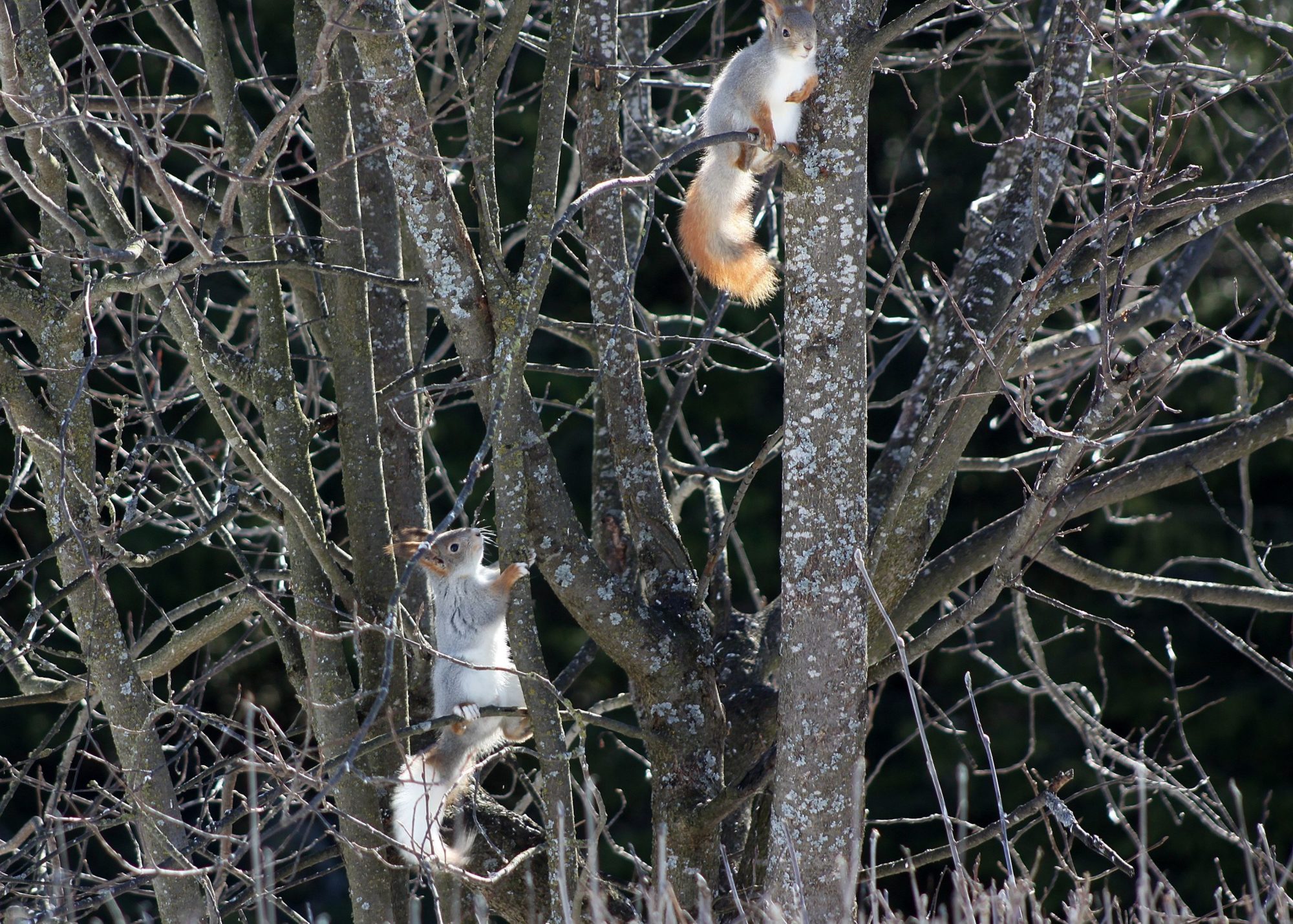 Valokuvaaja: Pirkko Siukonen Valokuvaaja: Pirkko Siukonen