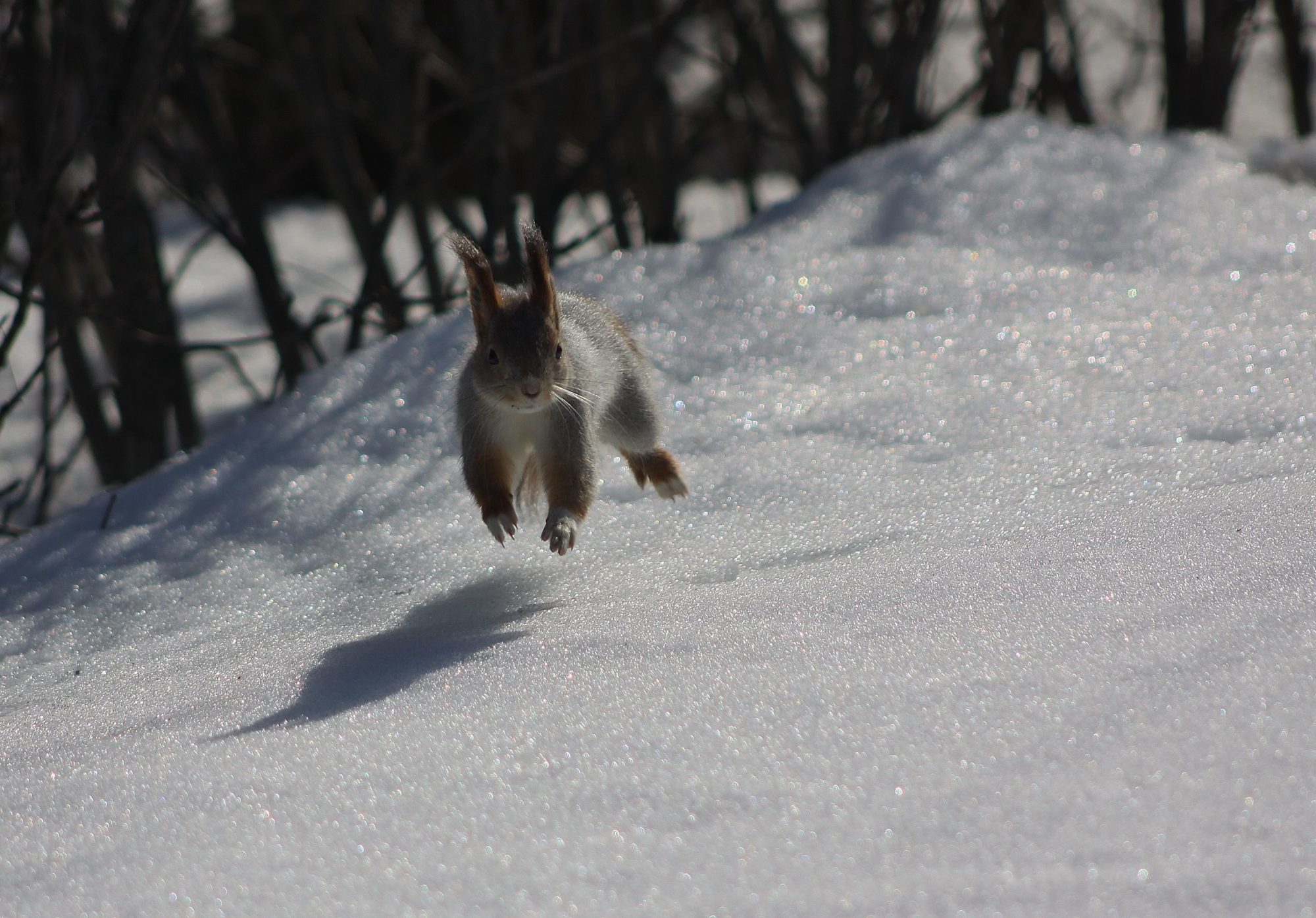 Valokuvaaja: Pirkko Siukonen