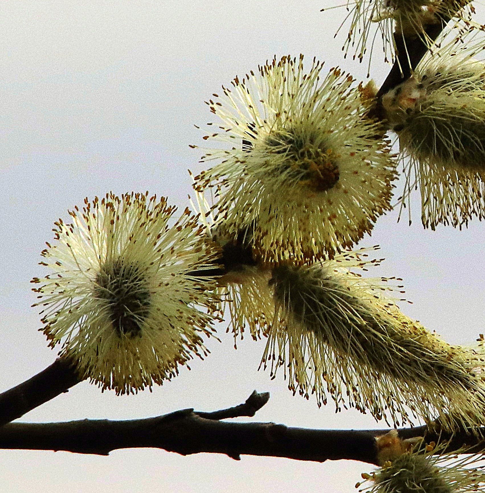 Valokuvaaja: Irja Lehtinen