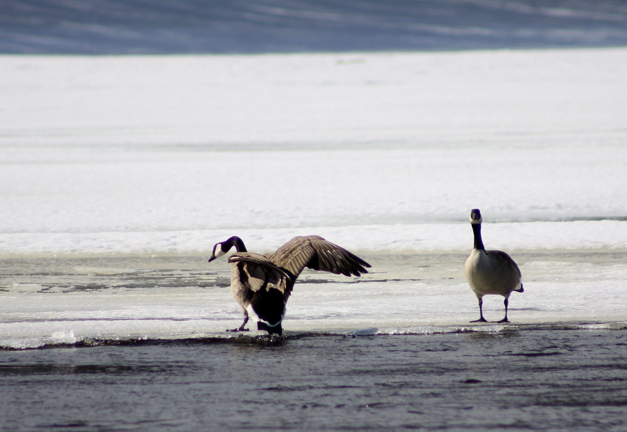 Valokuvaaja: Pirkko Siukonen