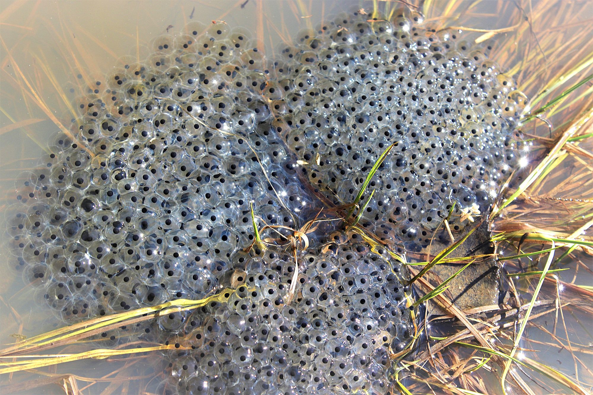 Valokuvaaja: Irja Lehtinen