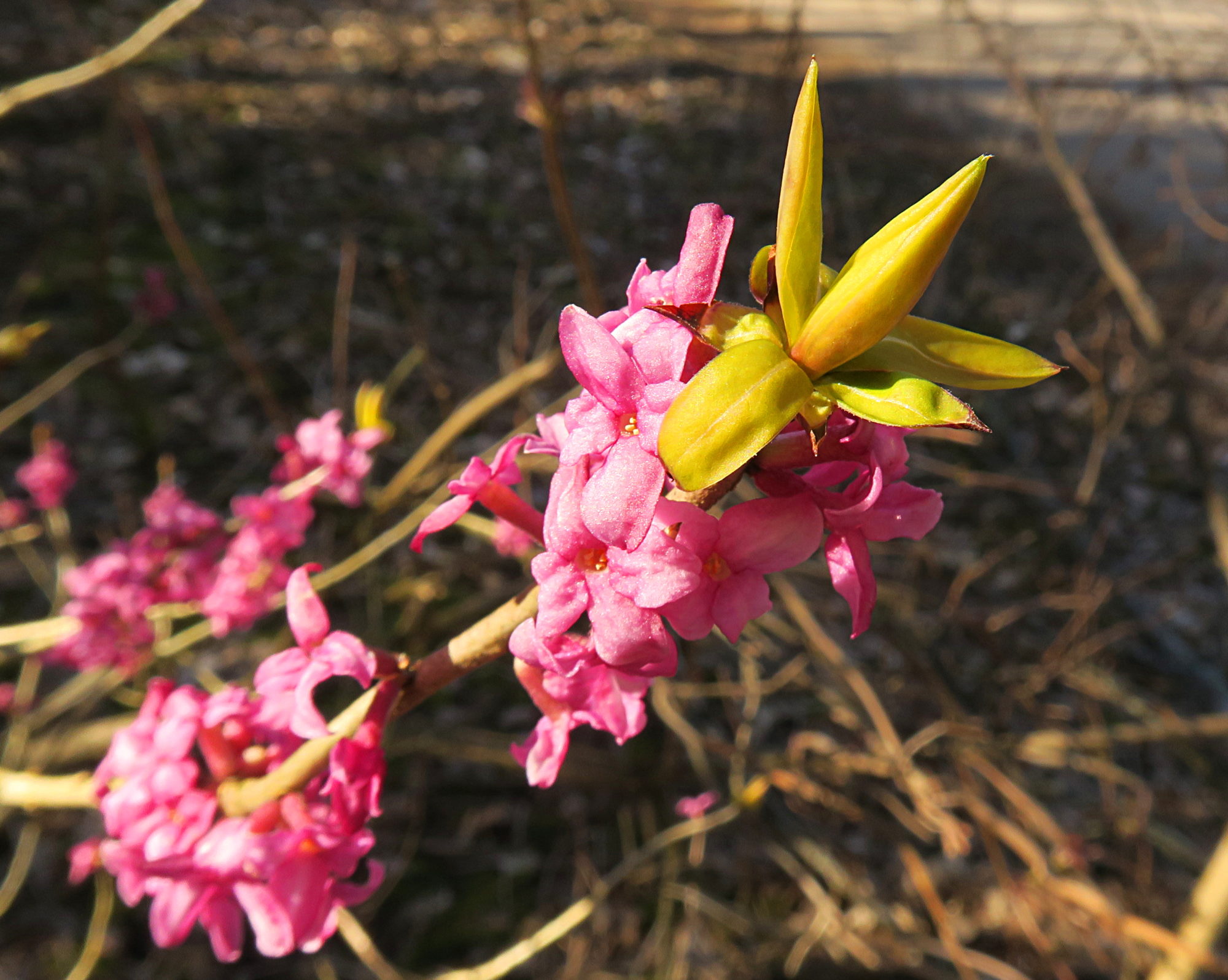 Valokuvaaja: Kati Westerlund Valokuvaaja: Kati Westerlund