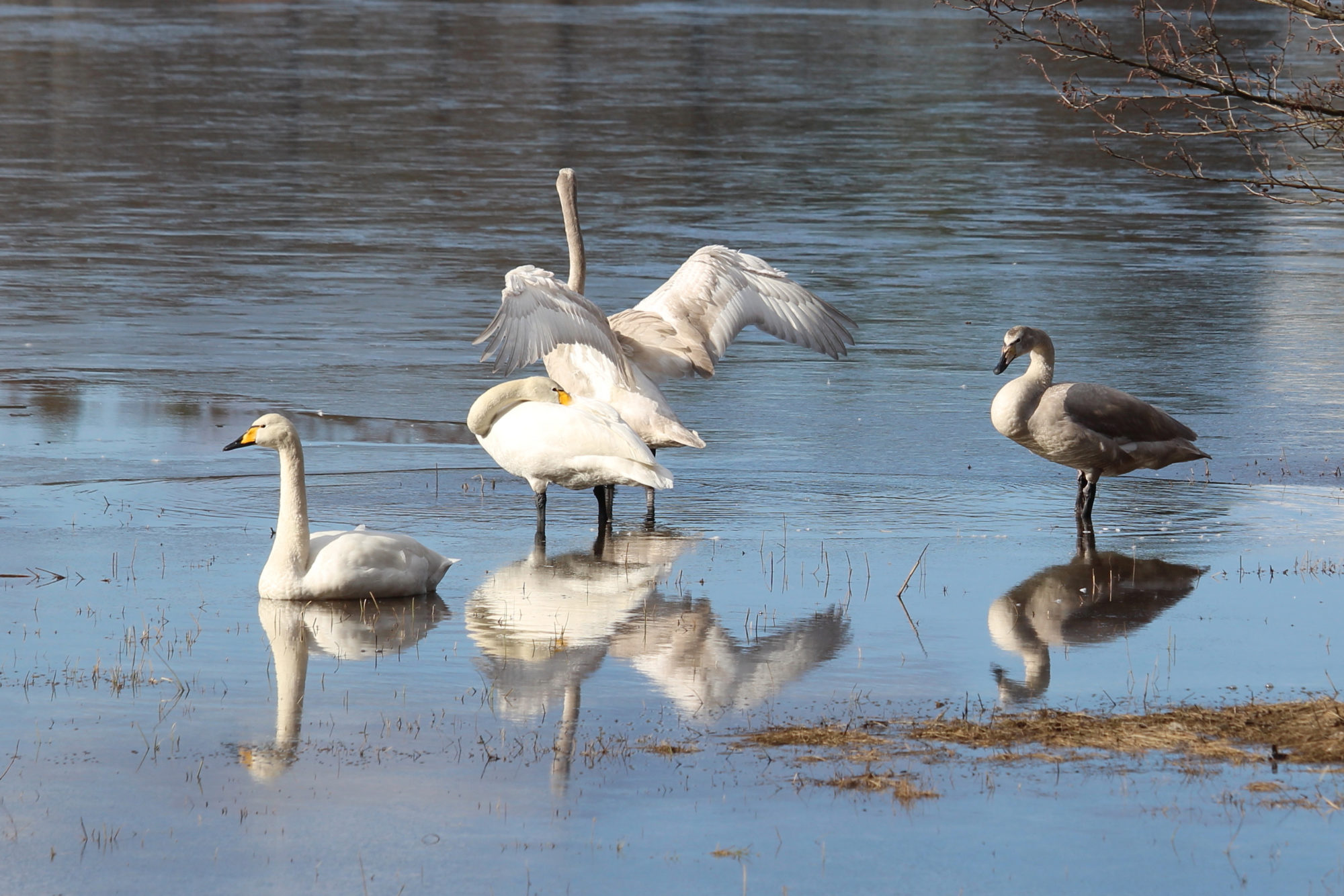 Valokuvaaja: Kirsi-Marja Joenpolvi