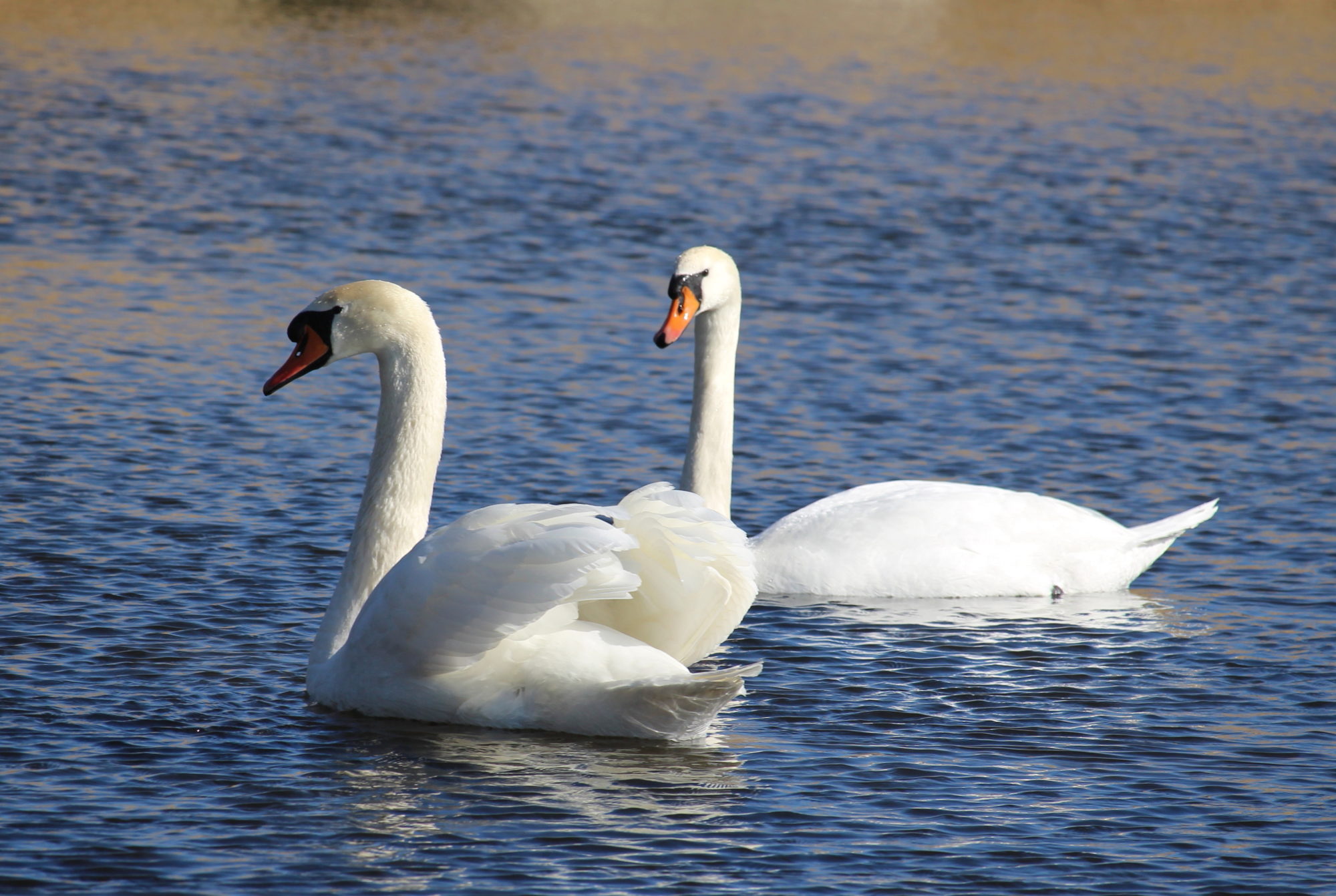 Valokuvaaja: Kirsi-Marja Joenpolvi Valokuvaaja: Kirsi-Marja Joenpolvi