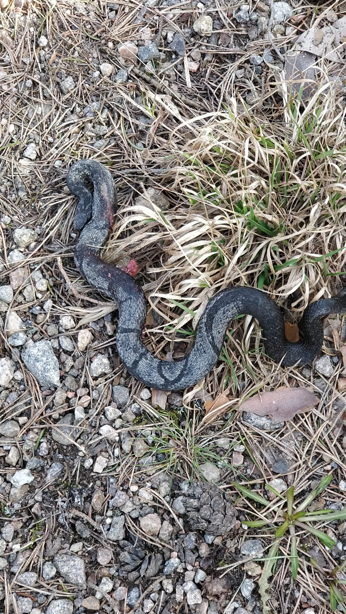 Valokuvaaja: Hannu laiho Valokuvaaja: Hannu laiho