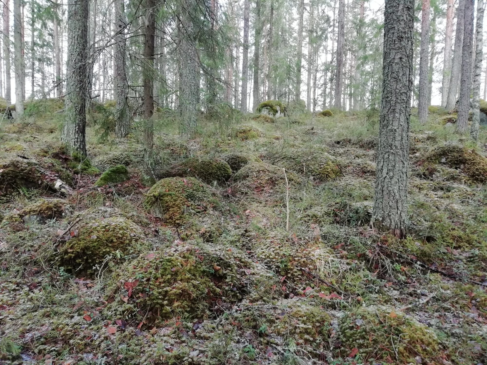 Valokuvaaja: Kaija Halonen