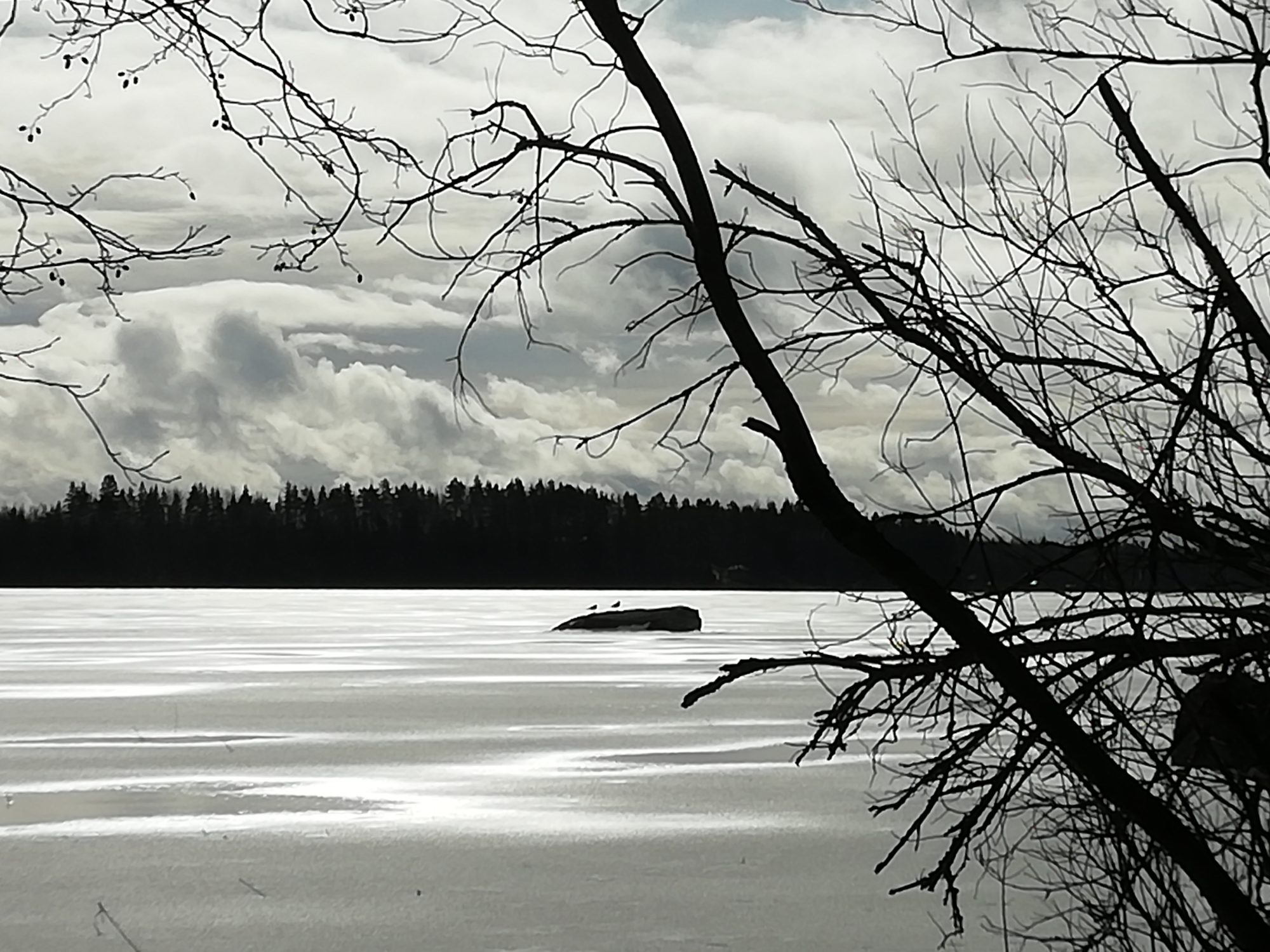 Valokuvaaja: Kaija Halonen