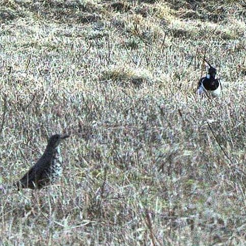 Valokuvaaja: Tapio Keinonen