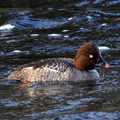 Valokuvaaja: Tapio Keinonen