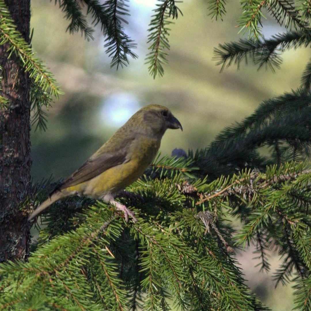 Valokuvaaja: Tapio Keinonen