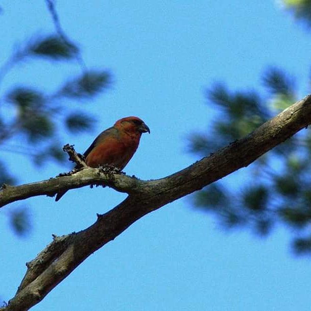 Valokuvaaja: Tapio Keinonen