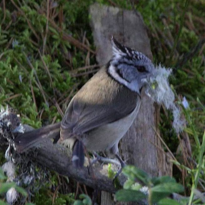 Valokuvaaja: Tapio Keinonen Valokuvaaja: Tapio Keinonen