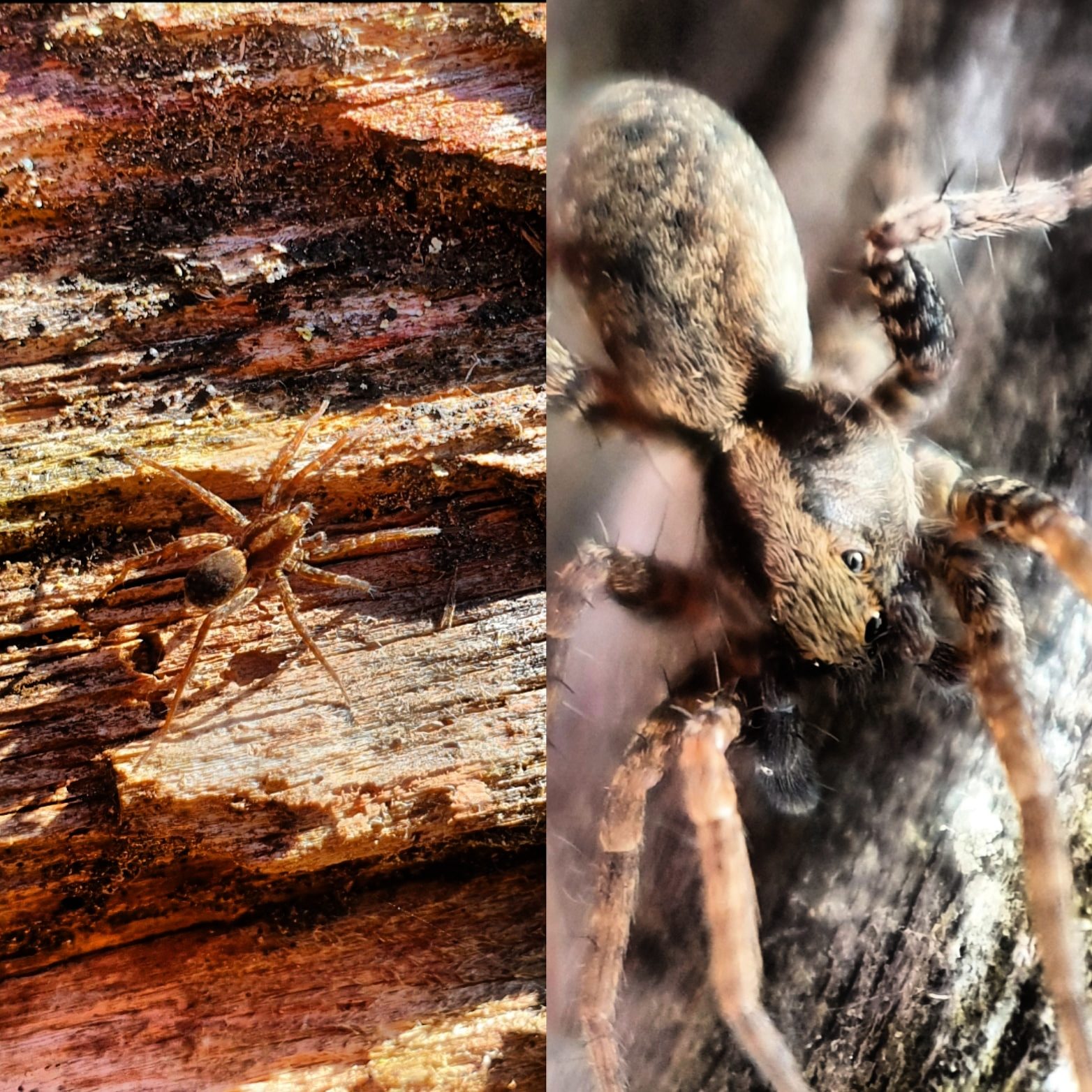 Valokuvaaja: Mikko Saarinen