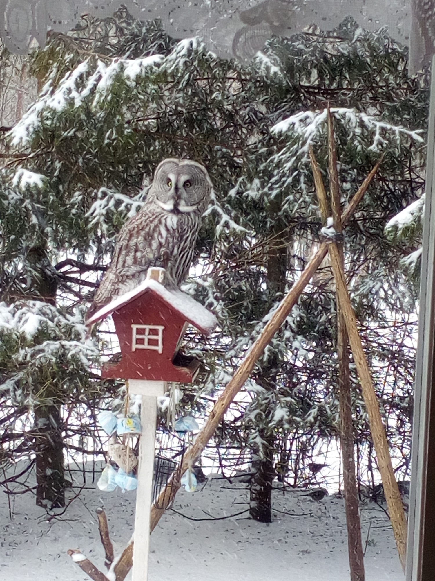 Valokuvaaja: Minna Toivonen