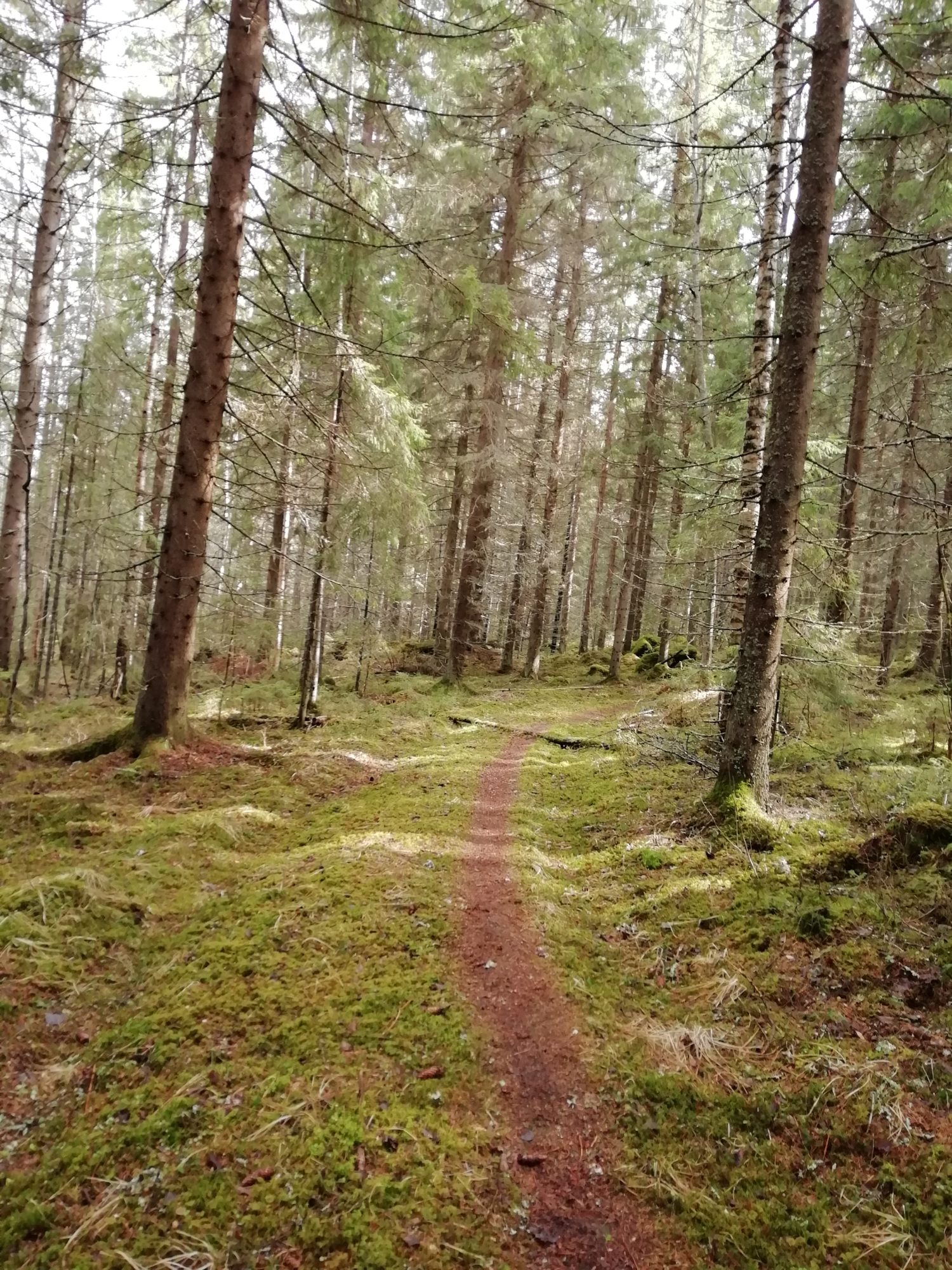 Valokuvaaja: Kaija Halonen