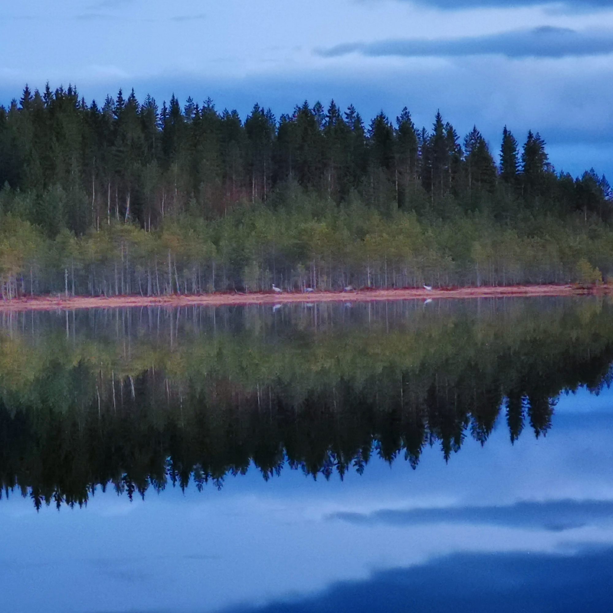 Valokuvaaja: Tapio Keinonen