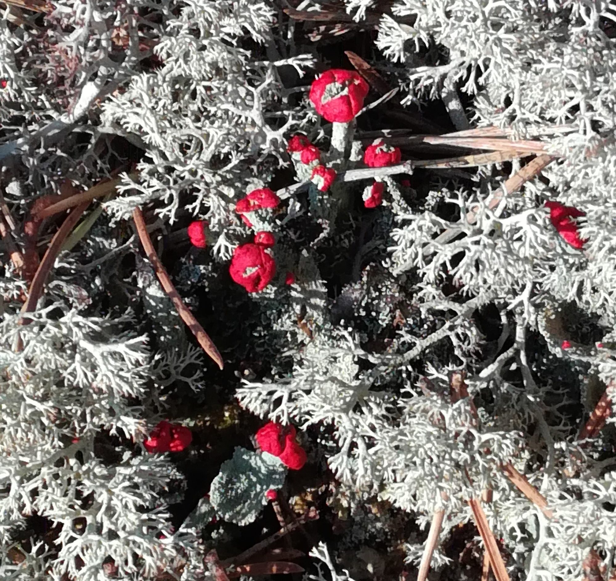 Valokuvaaja: Marketta Kokko