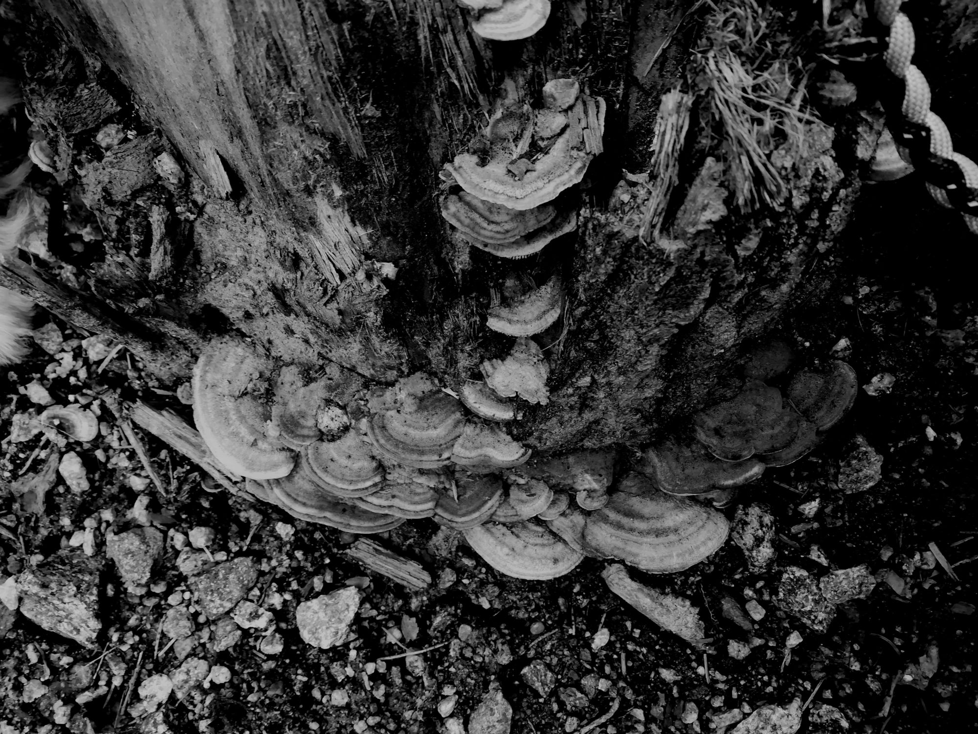 Valokuvaaja: Kaija Halonen