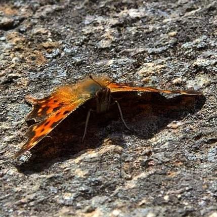 Valokuvaaja: Tapio Keinonen Valokuvaaja: Tapio Keinonen