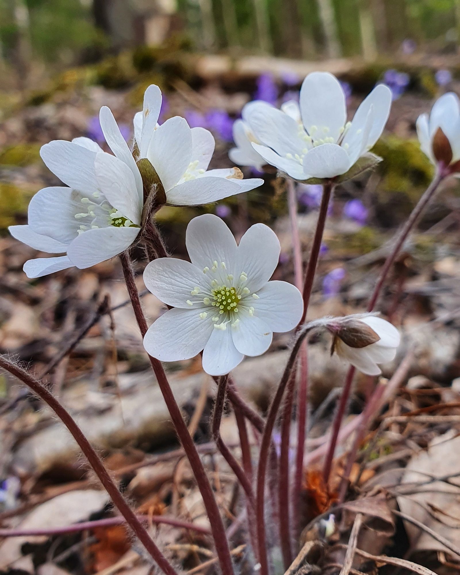 Valokuvaaja: Katja Valkkio