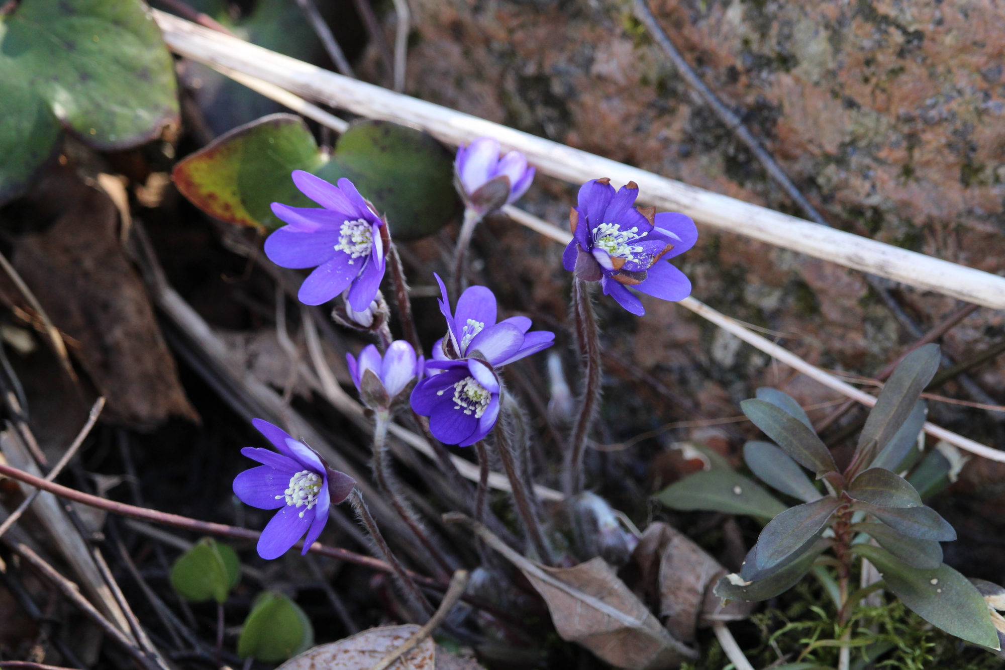 Valokuvaaja: Kirsi-Marja Joenpolvi