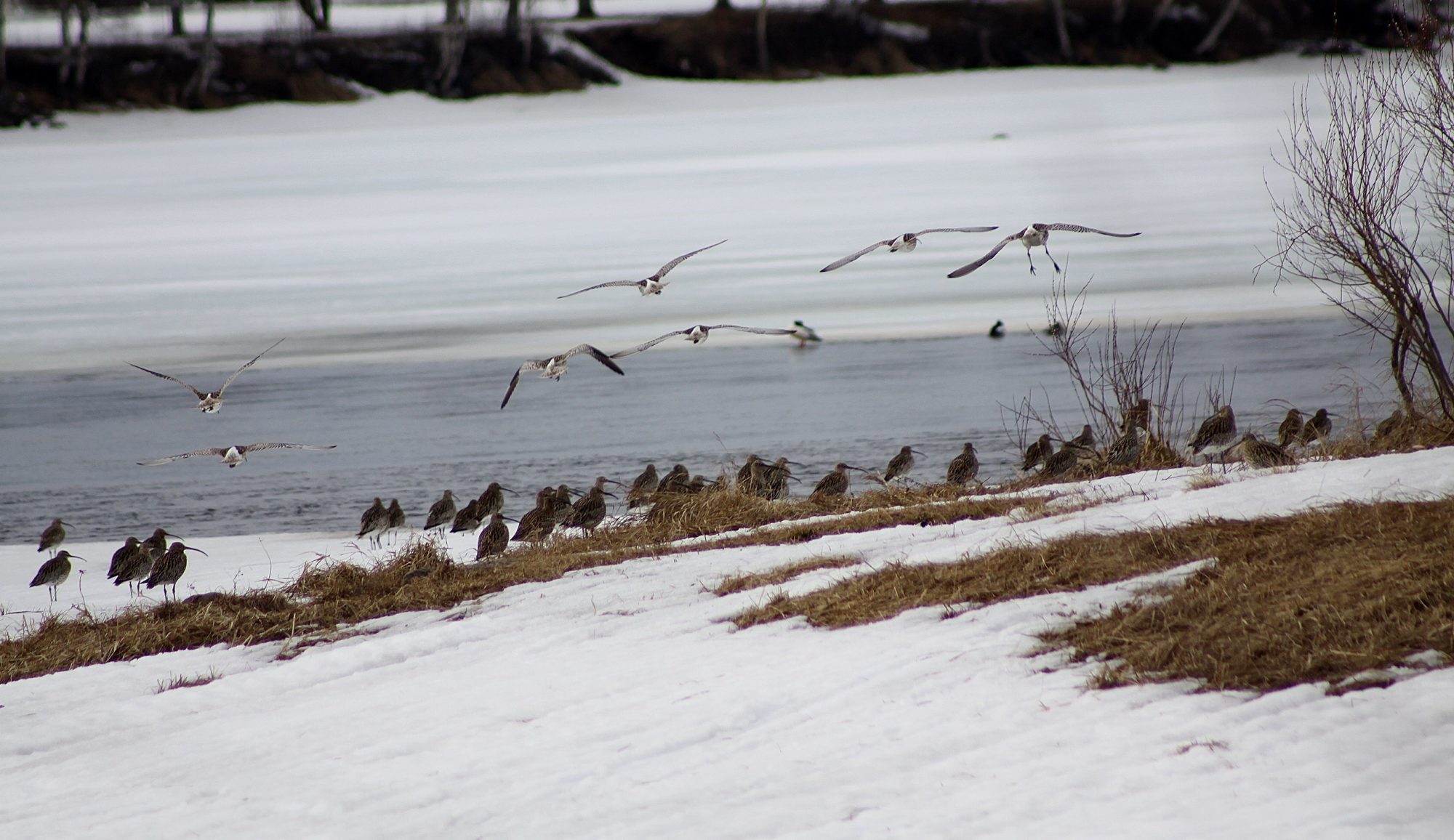 Valokuvaaja: Pirkko Siukonen