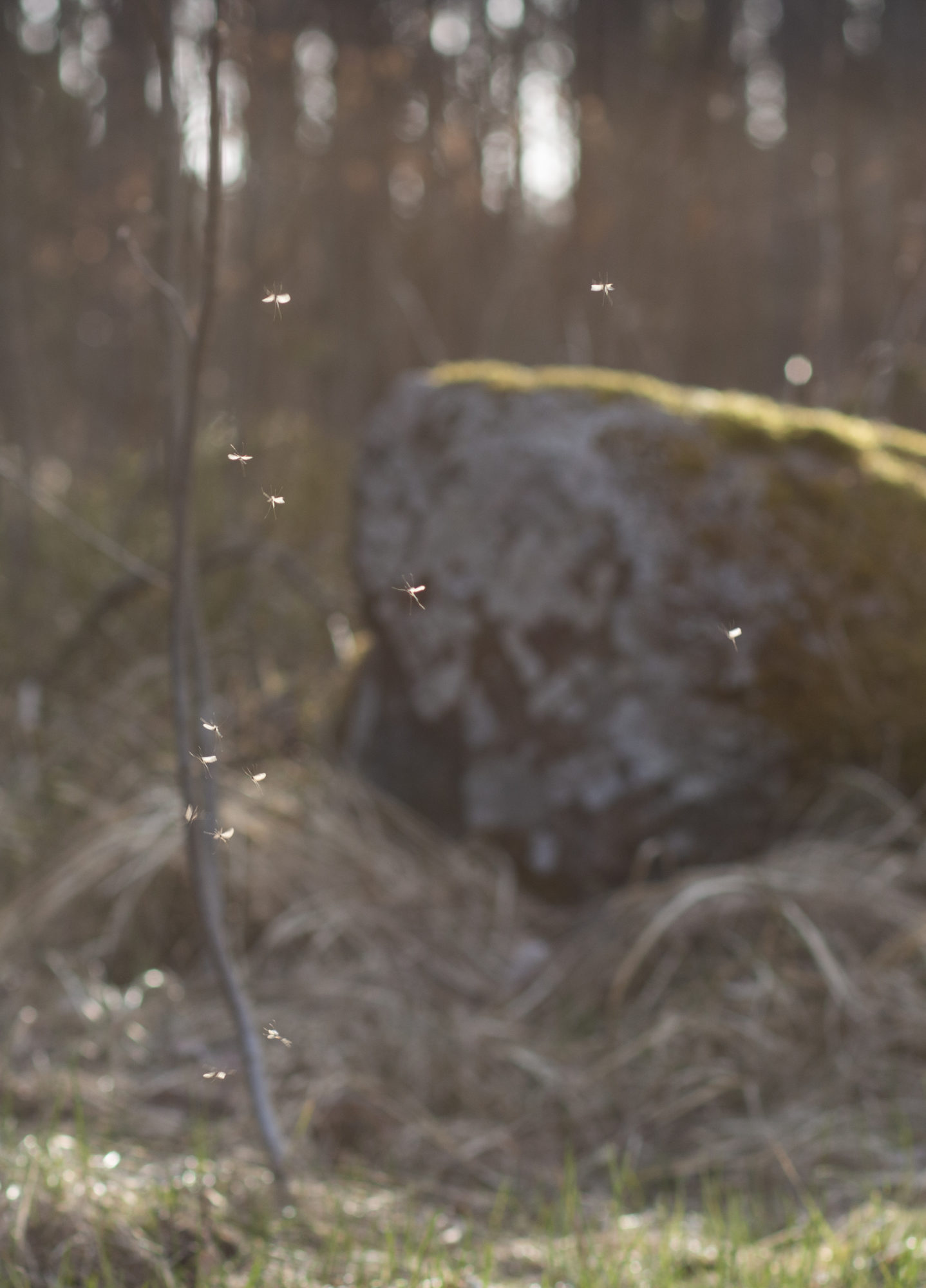 Valokuvaaja: Teija Järvenpää