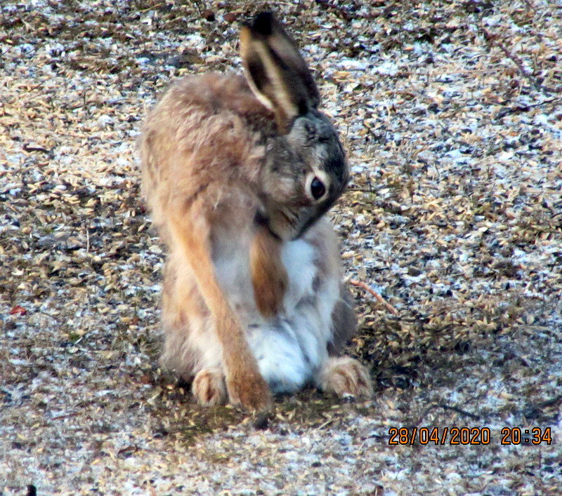 Valokuvaaja: SEIJA LAITALA