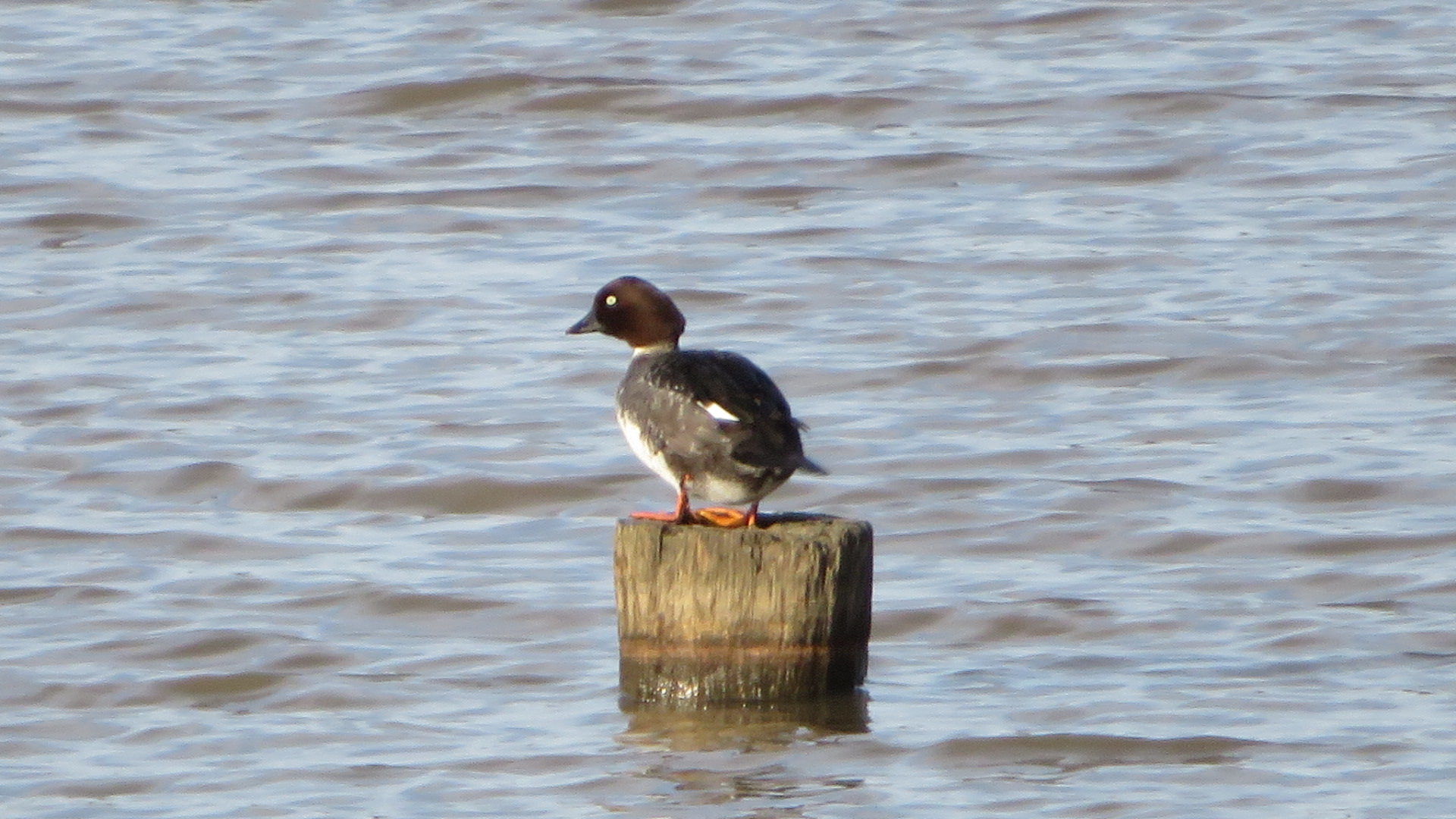 Valokuvaaja: Risto Kangassalo