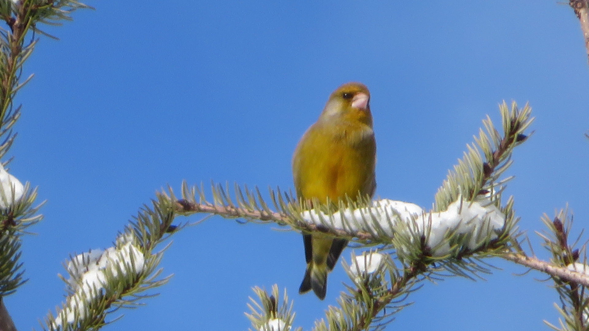 Valokuvaaja: Risto Kangassalo Valokuvaaja: Risto Kangassalo