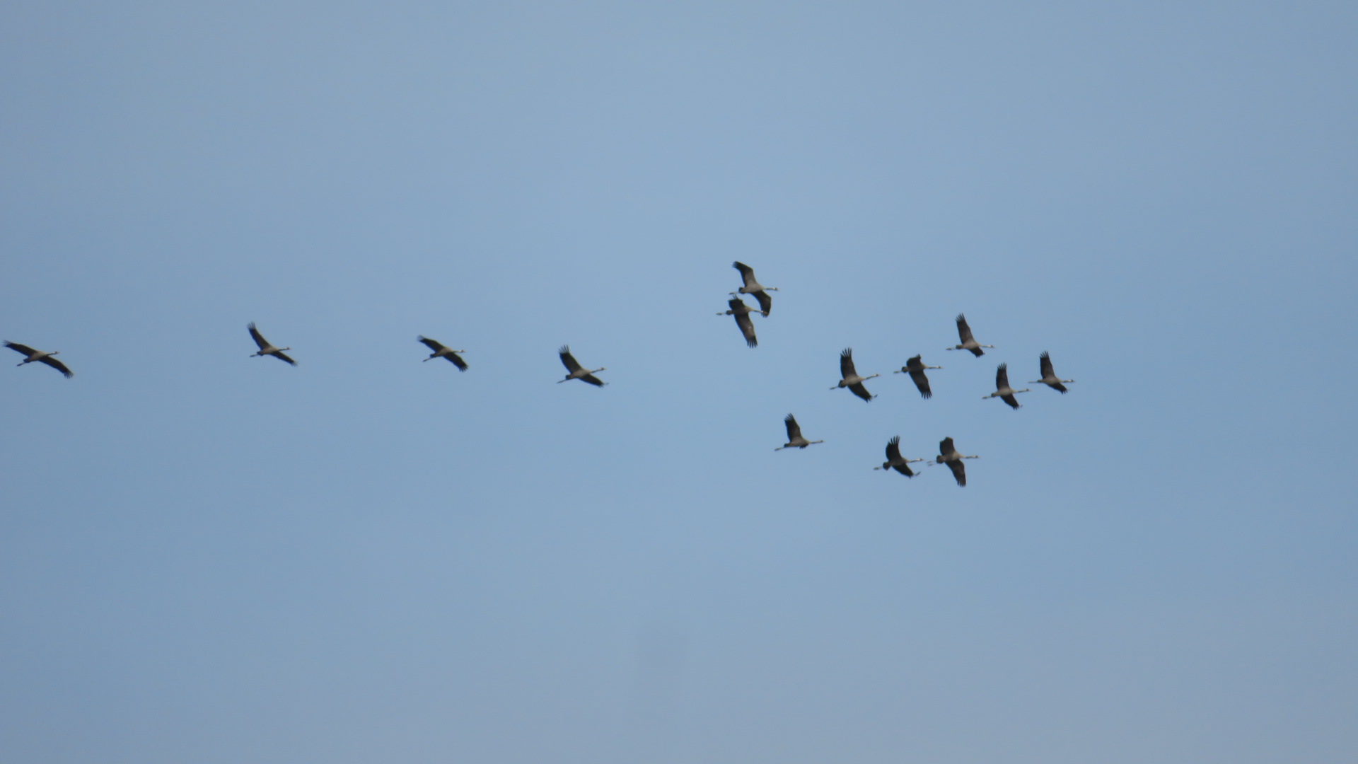 Valokuvaaja: Risto Kangassalo