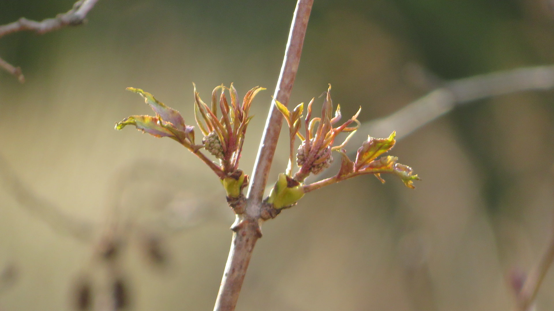 Valokuvaaja: Risto Kangassalo