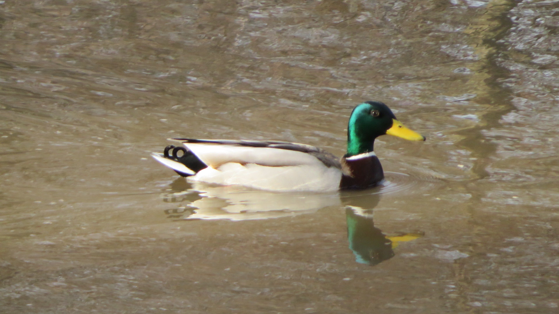 Valokuvaaja: Risto Kangassalo