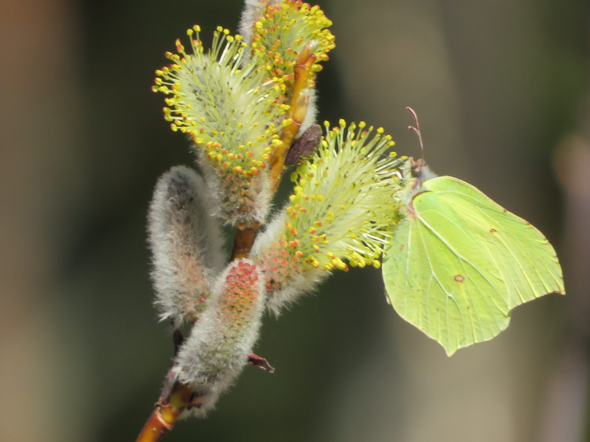 Valokuvaaja: Risto Kangassalo