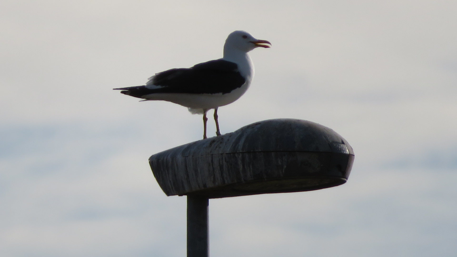 Valokuvaaja: Risto Kangassalo