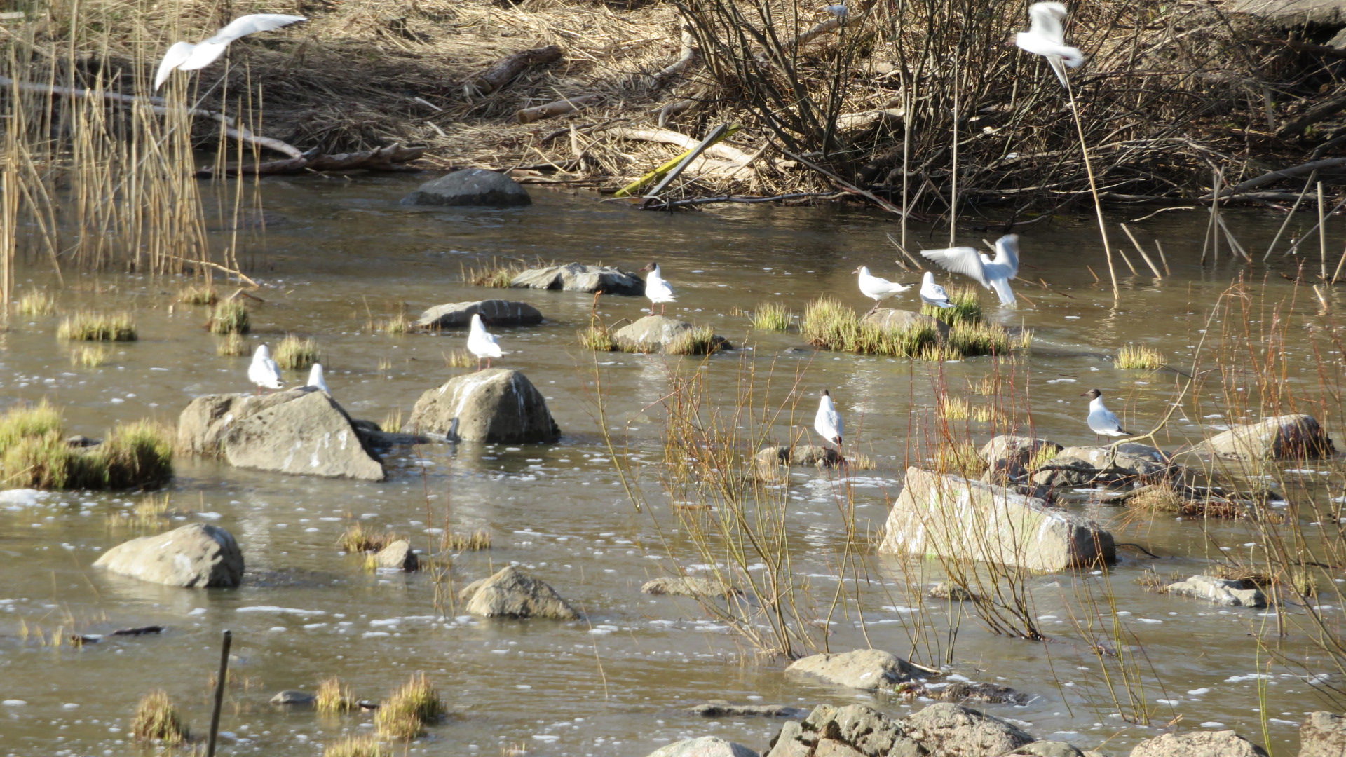 Valokuvaaja: Risto Kangassalo