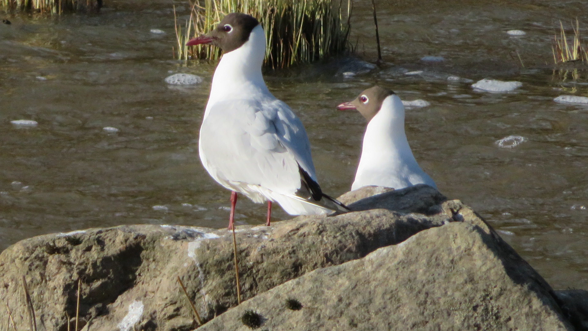 Valokuvaaja: Risto Kangassalo